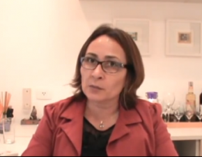 Lucineide Varjão, Coordenadora da CNQ, avalia o Encontro do Macrossetor Indústria da CUT. Nov/12