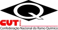 baixa Logo CNQ 2008